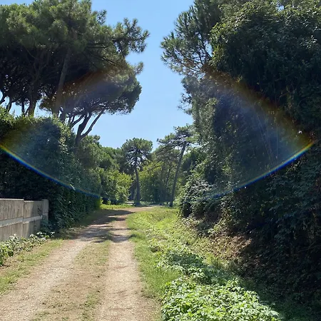 アパートホテル Pineta 2*