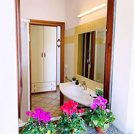 Pineta Apart-hotel Milano Marittima