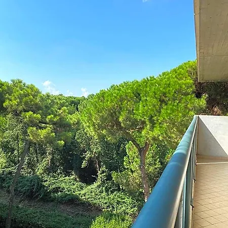 Pineta 4* Milano Marittima