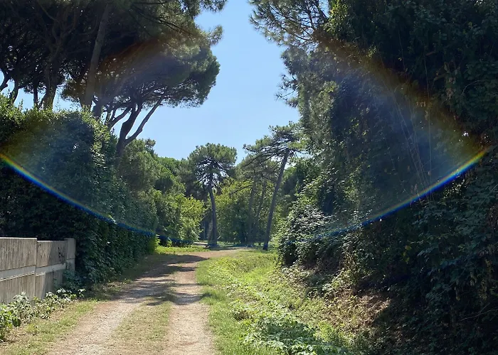 公寓式酒店 Pineta 4*